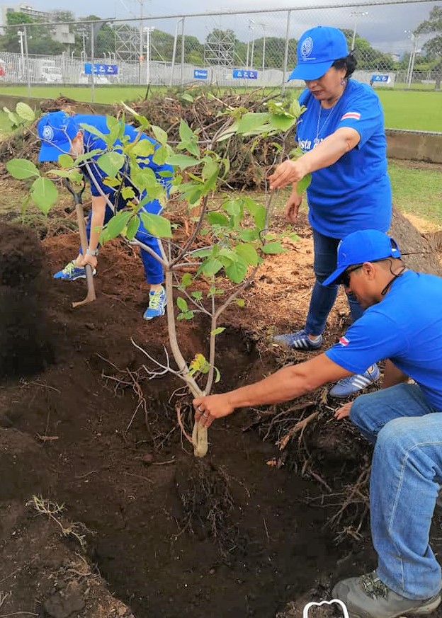 “Librarians planting a native tree in the Sabana Metropolitan Park ” by COPROBI is licensed under CC BY 4.0